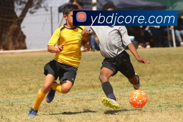 App Interface Preview